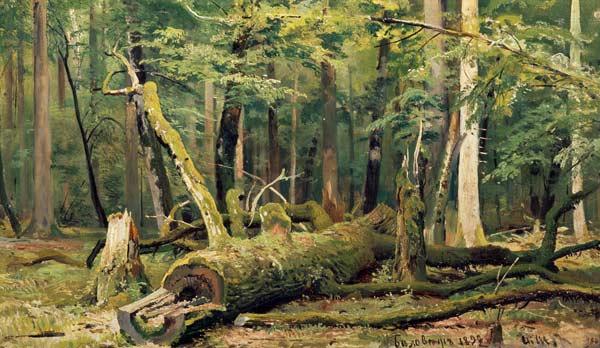 I.I.Zhishkin / Felled Oak / Ptg./ 1892