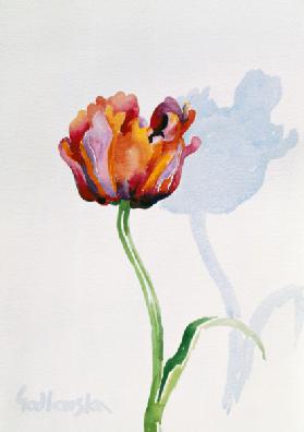 Tulip, 1998 (w/c on paper) (see also 124446 & 124448) 