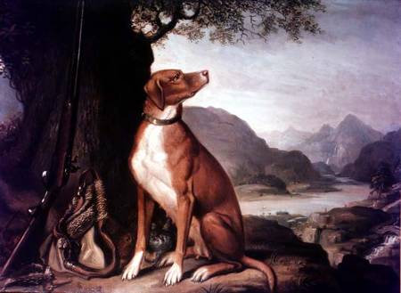 G. M. Johnston's favourite gun dog in a landscape from J. Francis Sartorius