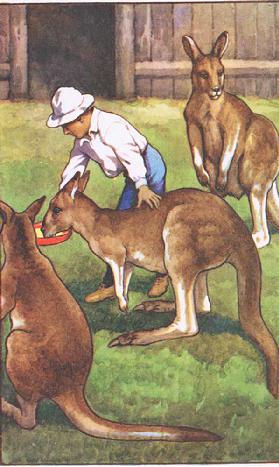Australischer Junge, von MacMillan-Schulplakaten, um 1950-60