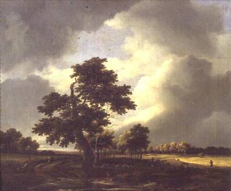 Landscape with Shepherd from Jacob Salomonsz. Ruysdael