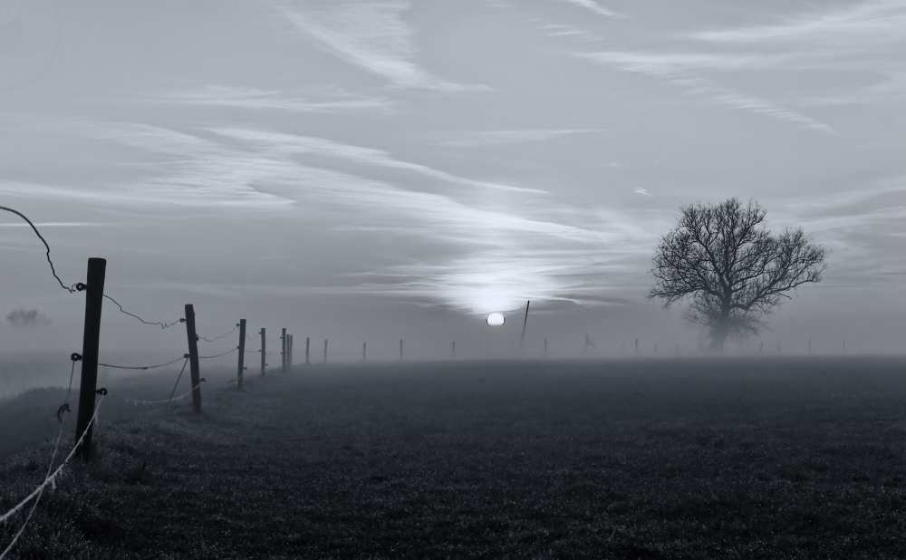 On a misty morning in March from Jacob Tuinenga