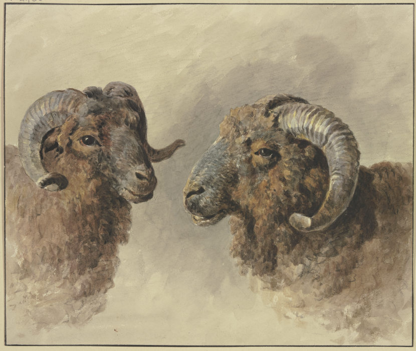 Zwei Schafe from Jacob van Strij