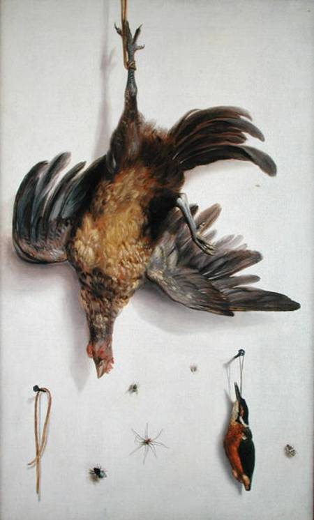 A Hen and a Kingfisher Hanging on a String from Jacobus Biltius