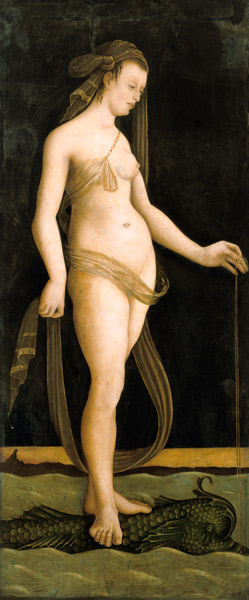 Galathea, auf einem Delphin stehend. from Jacopo de Barbari