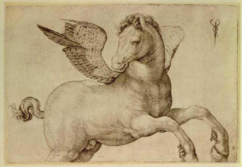 Pegasus. from Jacopo de Barbari