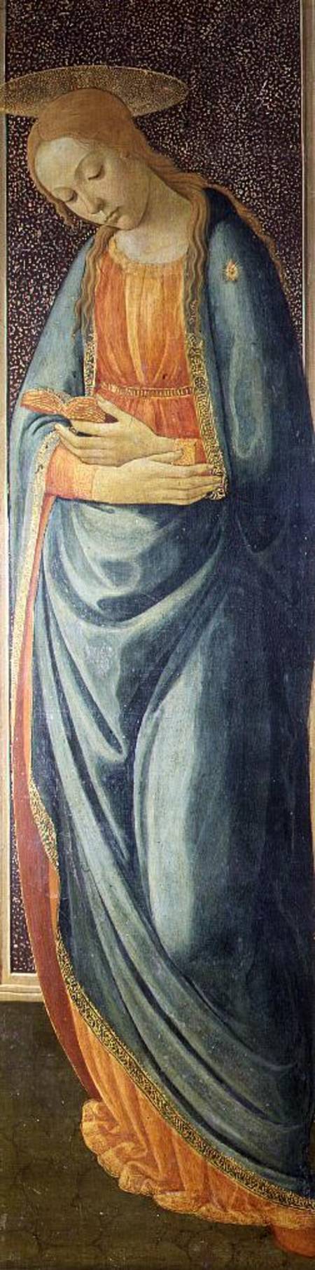Virgin Mary from Jacopo del Sellaio