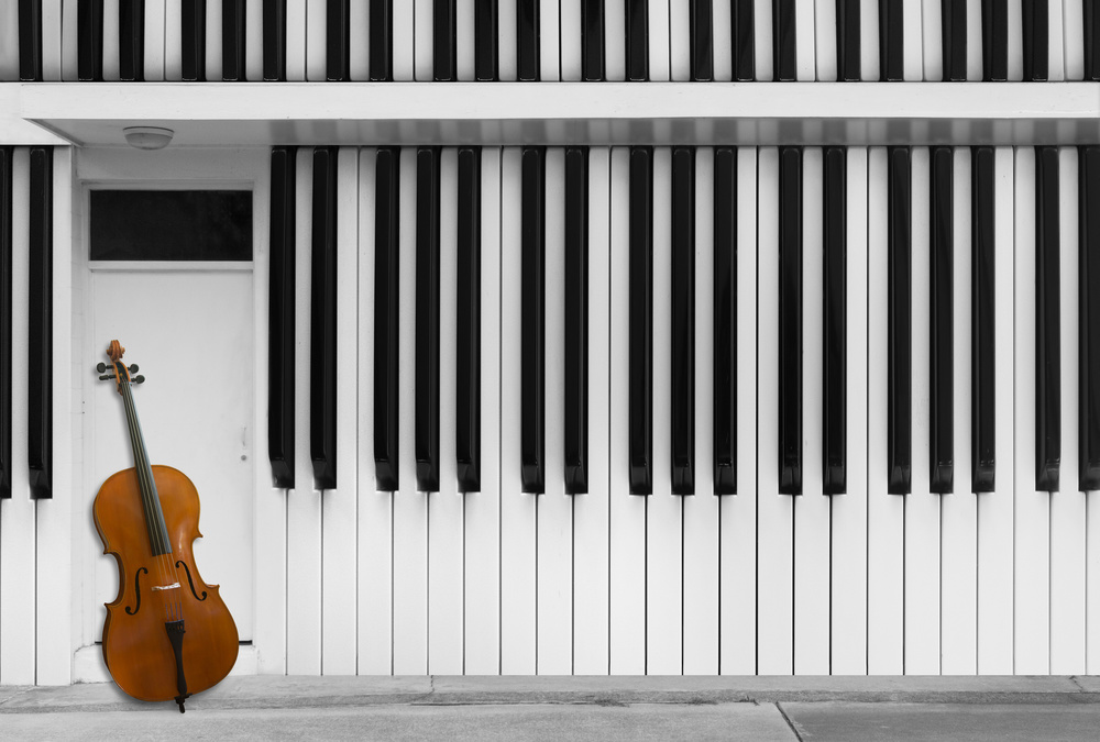 Cello an der Tür from Jacqueline Hammer