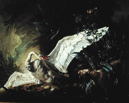 A Water Spaniel Attacking a Swan on its Nest from Jacques Charles Oudry