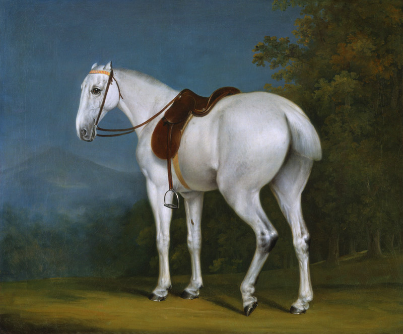 A Lady’s Grey Hunter from Jacques-Laurent Agasse