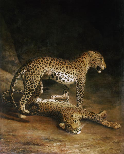 Two Leopards Lying In The Exeter Exchange from Jacques-Laurent Agasse