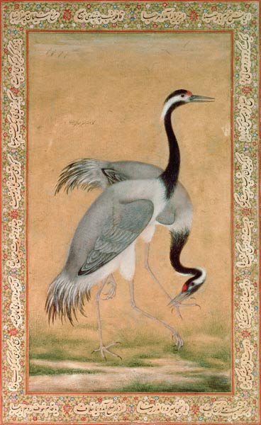 Cranes from Jahangir Period Mansur