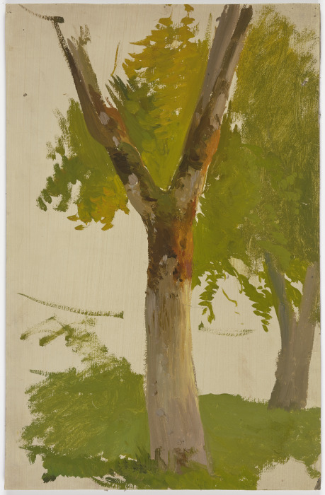 Baum from Jakob Becker