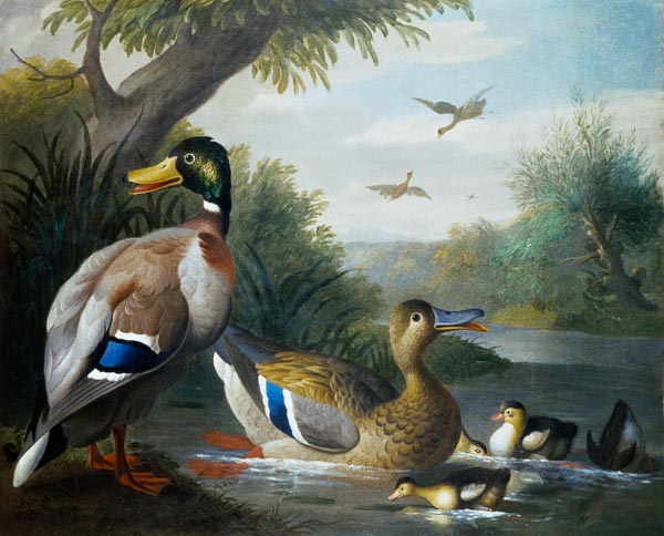 Ducks in a River Landscape from Jakob Bogdani or Bogdany