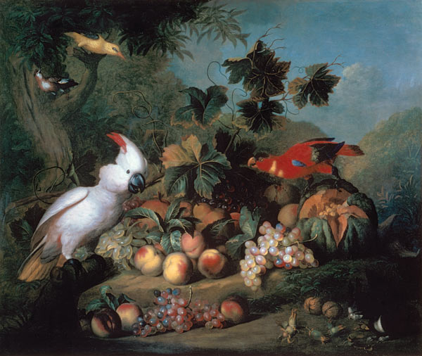 Fruit and Birds from Jakob Bogdani or Bogdany