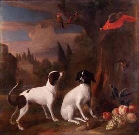 Two Dogs in a Landscape