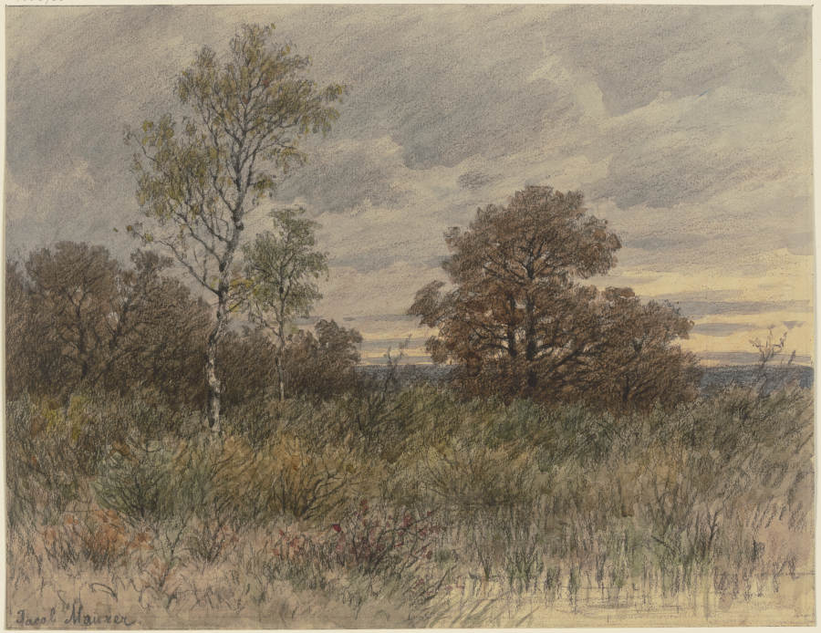 Regenlandschaft mit in sumpfigem Terrain stehenden Eichen und Birken from Jakob Maurer