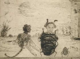 Besondere Insekten, 1888