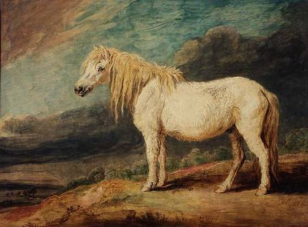 Shetland Pony from James Ward