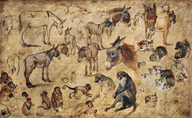 Animal Study from Jan Brueghel d. Ä.