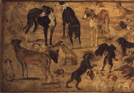 Study of Hounds from Jan Brueghel d. Ä.