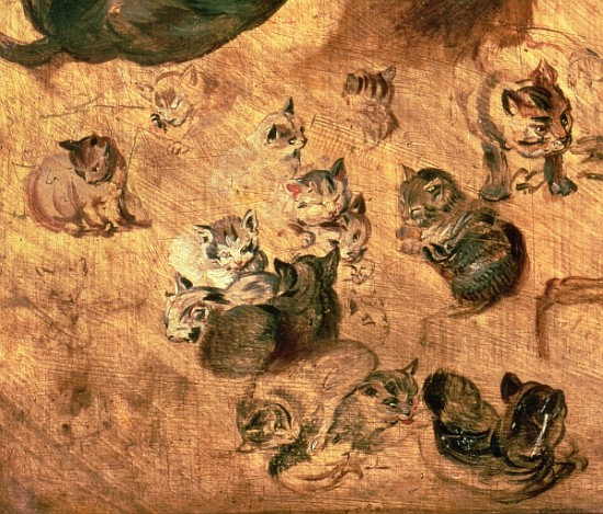 Study of cats, 1616 (detail of 65879) from Jan Brueghel d. Ä.