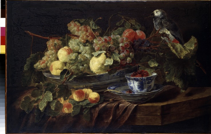 Still Life with Fruit and Parrot from Jan Fyt