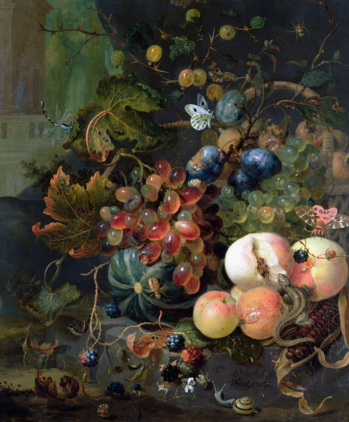 Still Life of Fruit and Insects from Jan Mortel