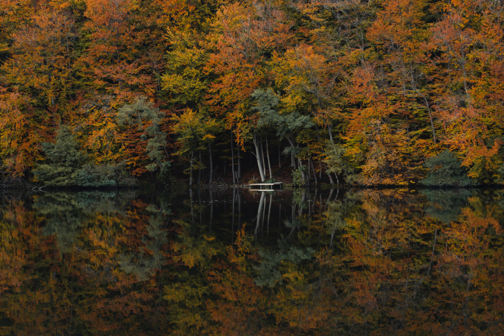 Herbst am Fluss from Jan Quedens