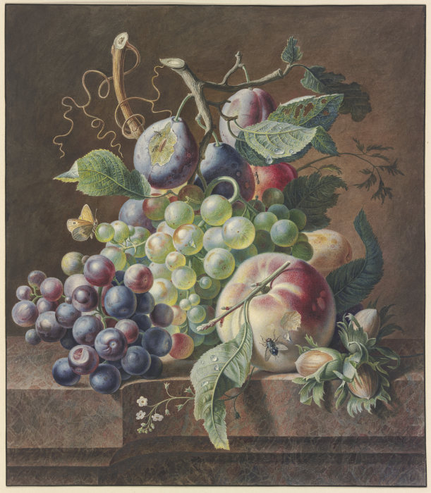 Früchtestück mit Pfirsich, Haselnuss,Trauben und Pflaumen from Jan van Huysum
