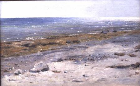 The Beach, Mols from Janus la Cour