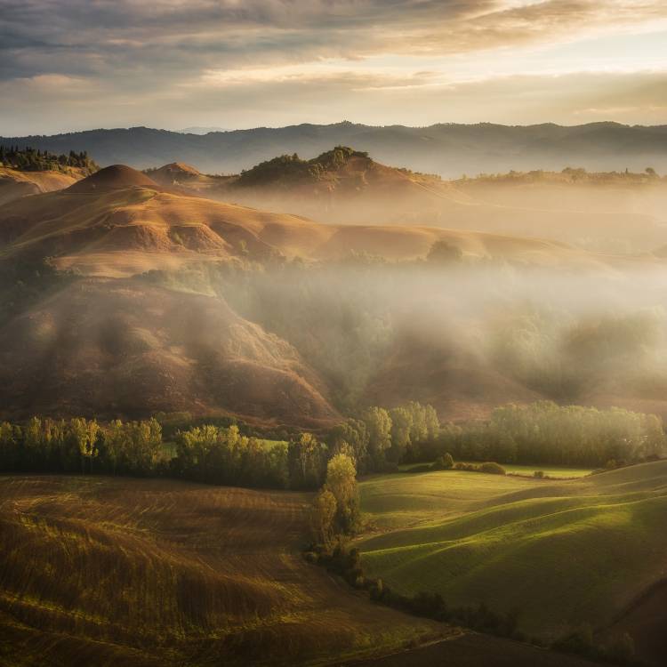 Mystical Waving Fields Tuscany from Jarek Pawlak
