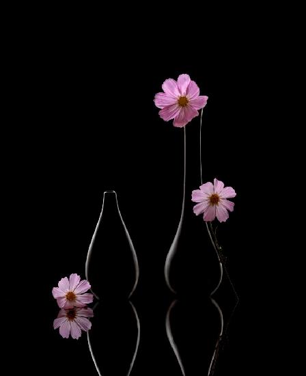 Blumen und Vasen
