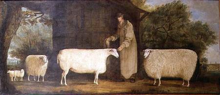 A Shepherd with his Flock from J.D. Curtis