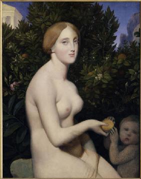 J.A.D.Ingres, Venus auf Paphos