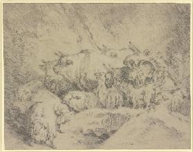 Ein Hirte mit einem bepacktem Esel treibt Ochsen und Schafe vor sich her