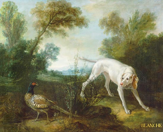 Blanche, Bitch of the Royal Hunting Pack from Jean Baptiste Oudry