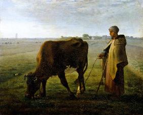 Woman Grazing her Cow