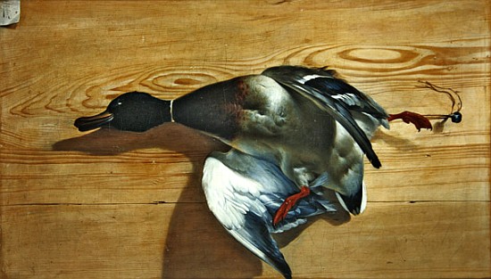 A duck on a pine board from Jean Jacques Bachelier
