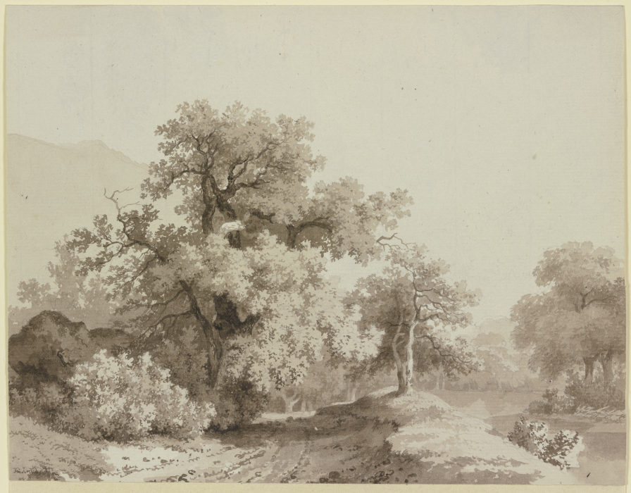 Landschaft mit großen Bäumen from Jean Jacques de Boissieu