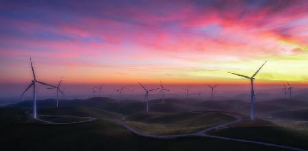 Die Windmühlenfarm im Morgengrauen