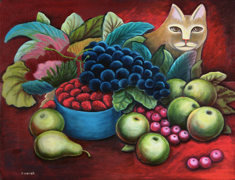 Cat and Fruit  from Jerzy  Marek
