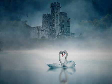 Windsor Castle und Swan
