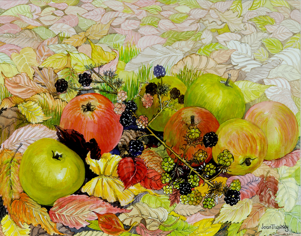 Apples and Blackberries on Autumn Leaves from Joan  Thewsey