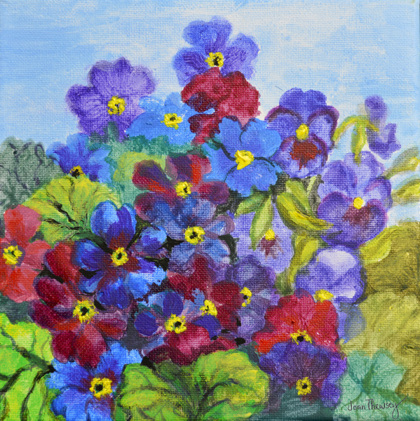 Blue Primroses from Joan  Thewsey