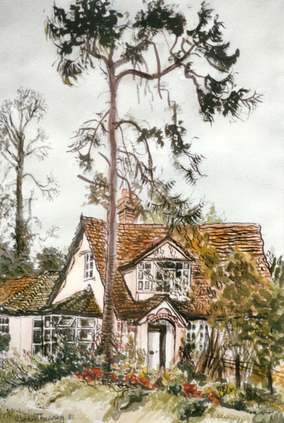 Cottage with Fir Tree from Joan  Thewsey