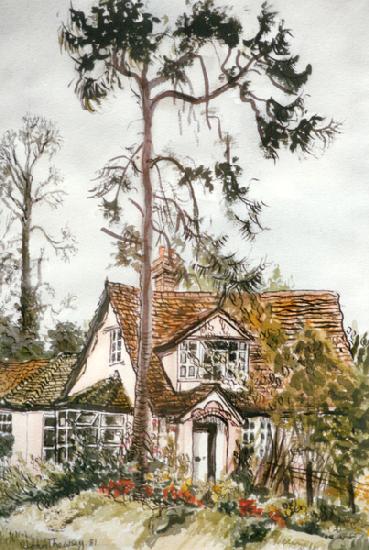 Cottage with Fir Tree