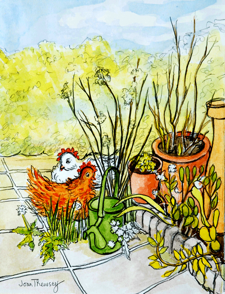 Hens and Pots, Lucy Redman Open Garden from Joan  Thewsey