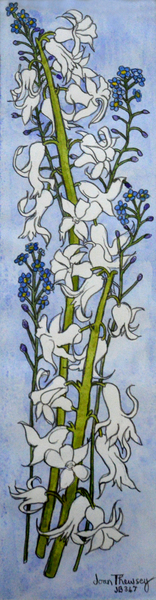 Hyacinths and Forget-me-nots from Joan  Thewsey