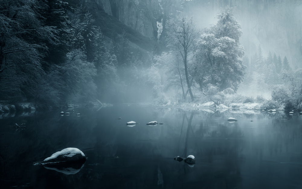Winter Wunderland from Joan Zhang